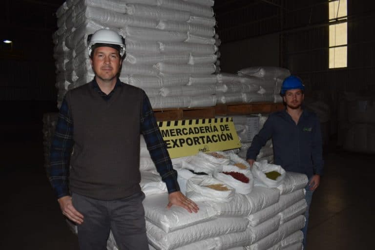 CayFe Export sigue con envíos de legumbres al exterior