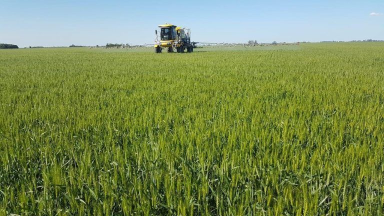 FMC: Un cofactor para aplicaciones eficientes y sustentables