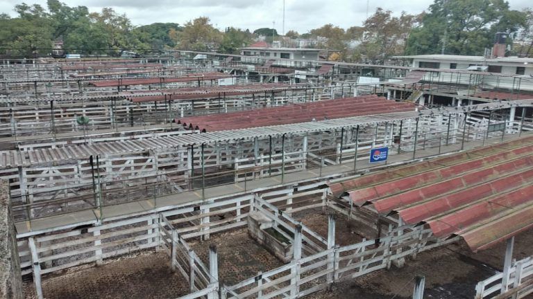 El Campo extiende el paro de comercialización hasta el miércoles