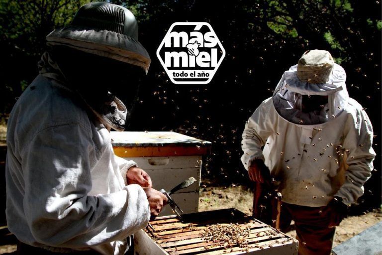 Arrancó la Campaña federal «Más miel todo el año»