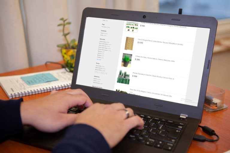 Senasa detecta infracciones en venta digital de productos