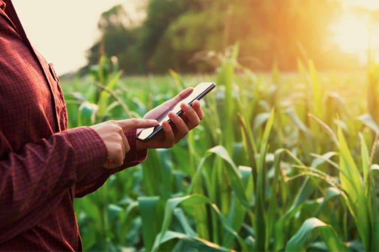 Se duplicó la adopción de tecnología en el agro en los últimos tres años