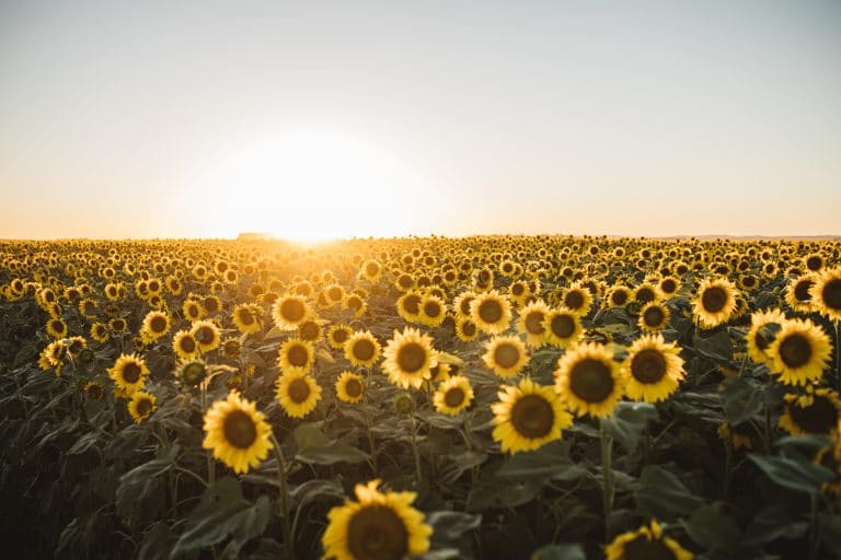 "La Niña" cada vez más cerca de ser realidad para el verano