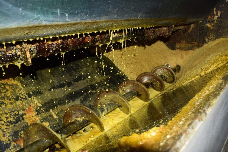 Creció la molienda de Soja según Agricultura de la Nación