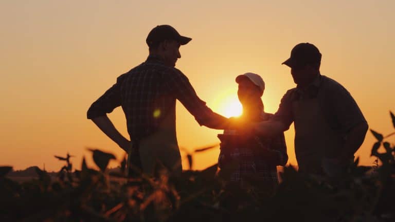 Agrofy Pay se asocia con Muu para el comercio de hacienda