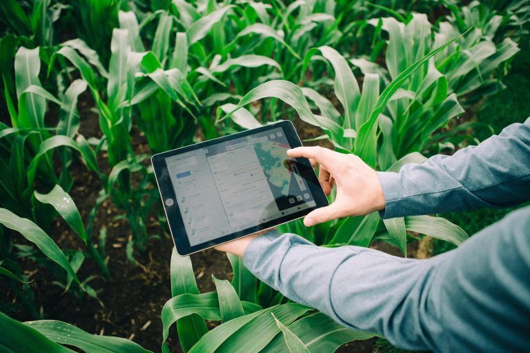 FieldView se sextuplicó en hectáreas desde marzo 2020