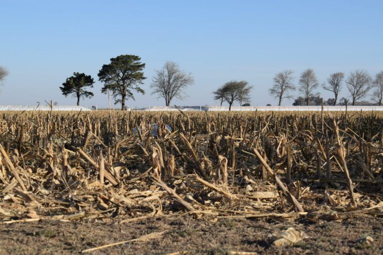 Expoagro Digital suma capacitación para aplicación en barbechos