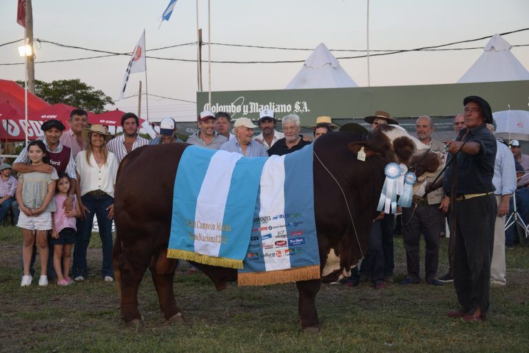 Nacional de razas: En Braford, Cabaña Pilagá y Marcaojo son los Grandes Campeones