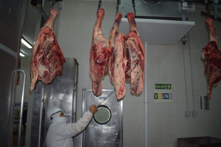 Rosgan: Argentina y una oportunidad de oro ante la demanda China de carne bovina