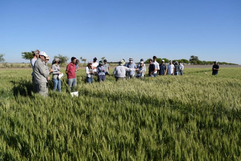 Colegio de Ingenieros Agrónomos implementa una Bolsa de Trabajo para Profesionales