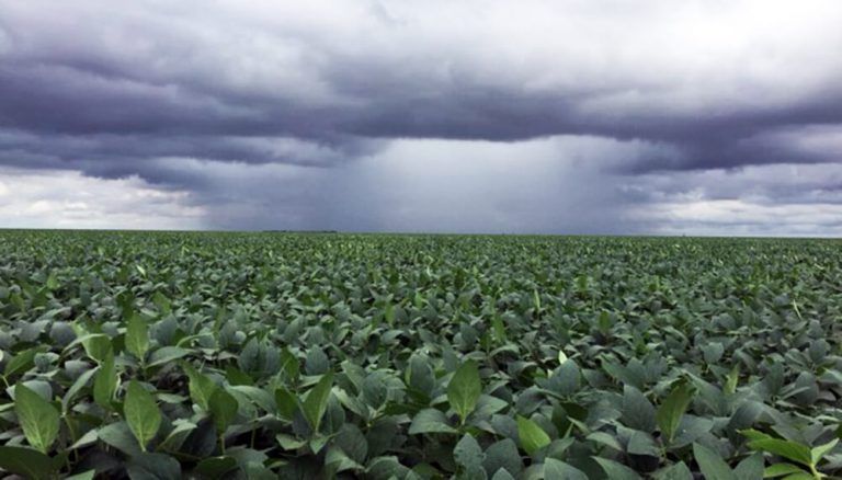 Alerta para Córdoba, Entre Ríos y Santa Fé por tormentas y lluvias