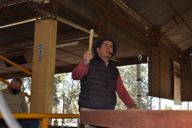 Consignaciones rematará 1.000 cabezas este Lunes 29 en Jesús María