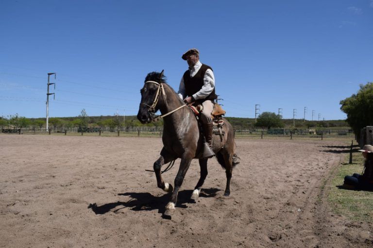 La Sociedad Rural de Jesús María será sede de las finales de Caballos Criollos