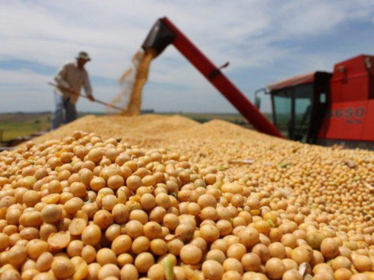 Piden a la OMC «eliminar las distorsiones» al comercio de productos agrobioindustriales