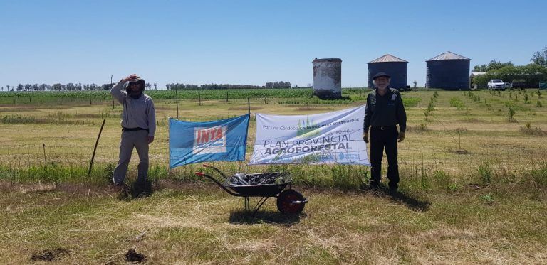 Técnicos de Agricultura trabajan en Lote demostrativo Forestal en Justiniano Posse