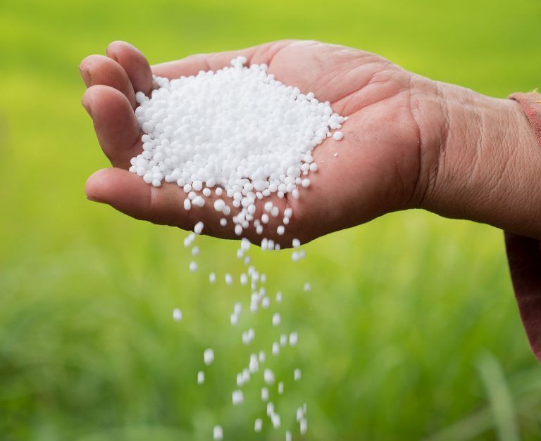 Siguen en ascenso los valores de insumos: Urea «cotiza» a más de US$ 1000 la tonelada