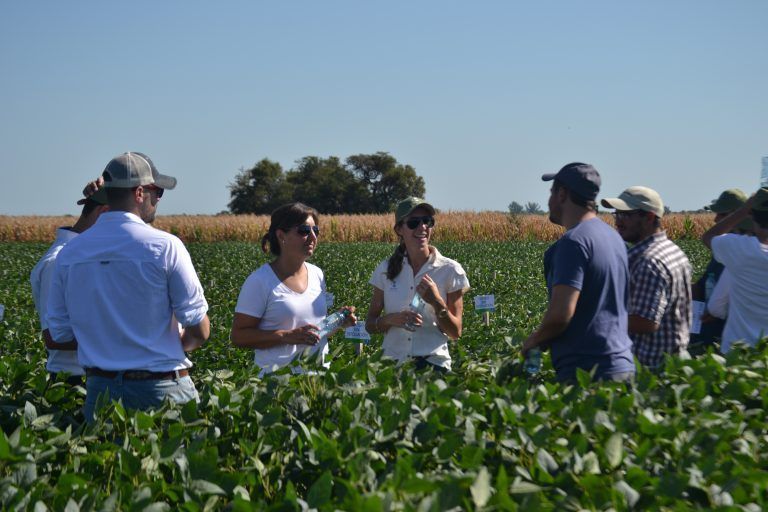 Fertilizaciones Foliares: Eficiencia en el uso de Nutrientes y retorno de la inversión