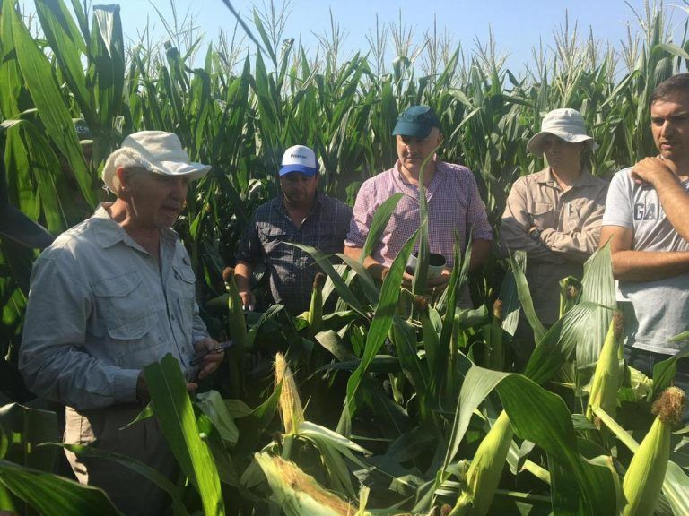 Simposio Ravit: Colaboración, modelos agronómicos y tokenización
