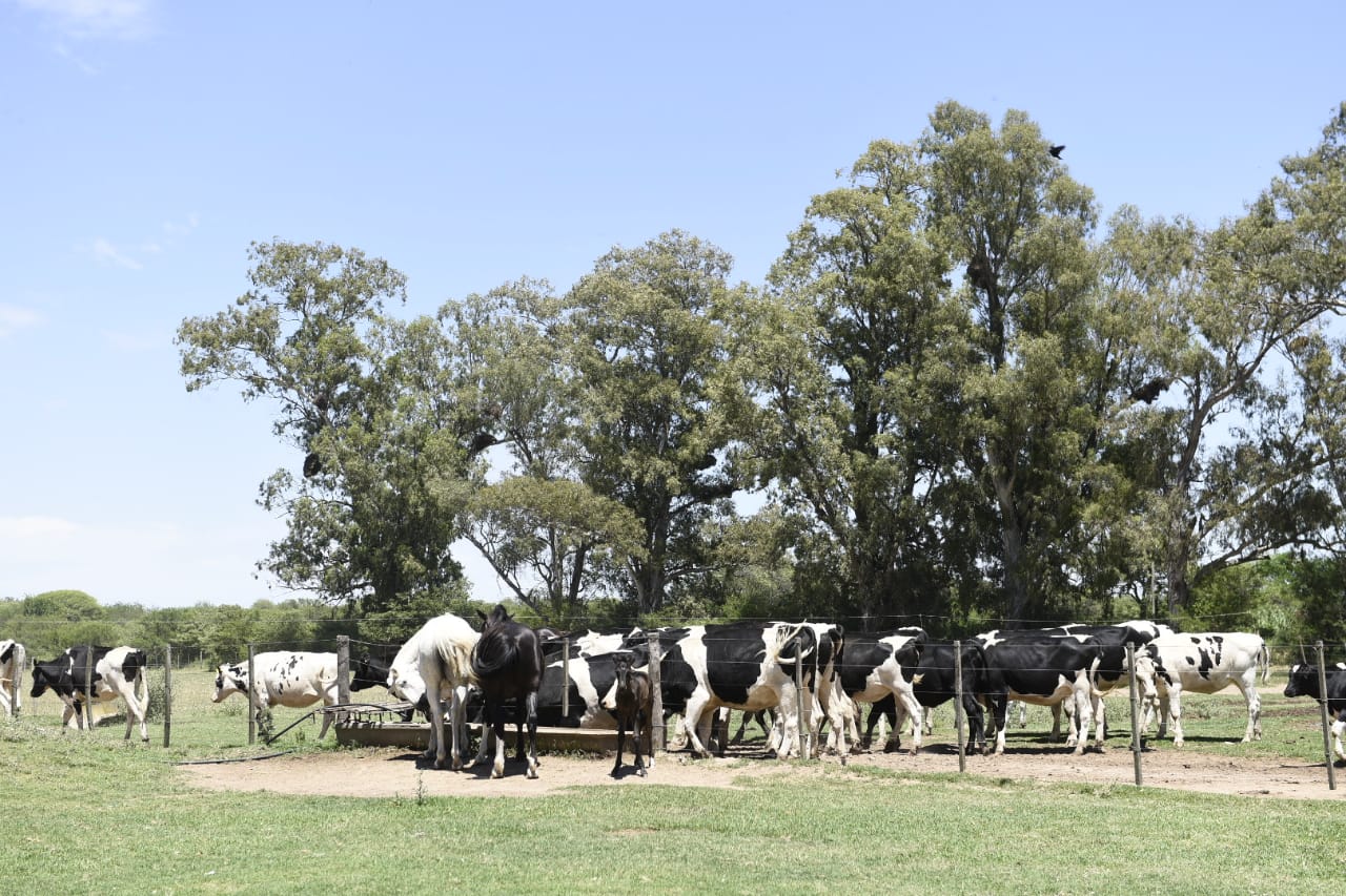 En Villa María sueñan con la Primera Escuela con Tambo robotizado propio