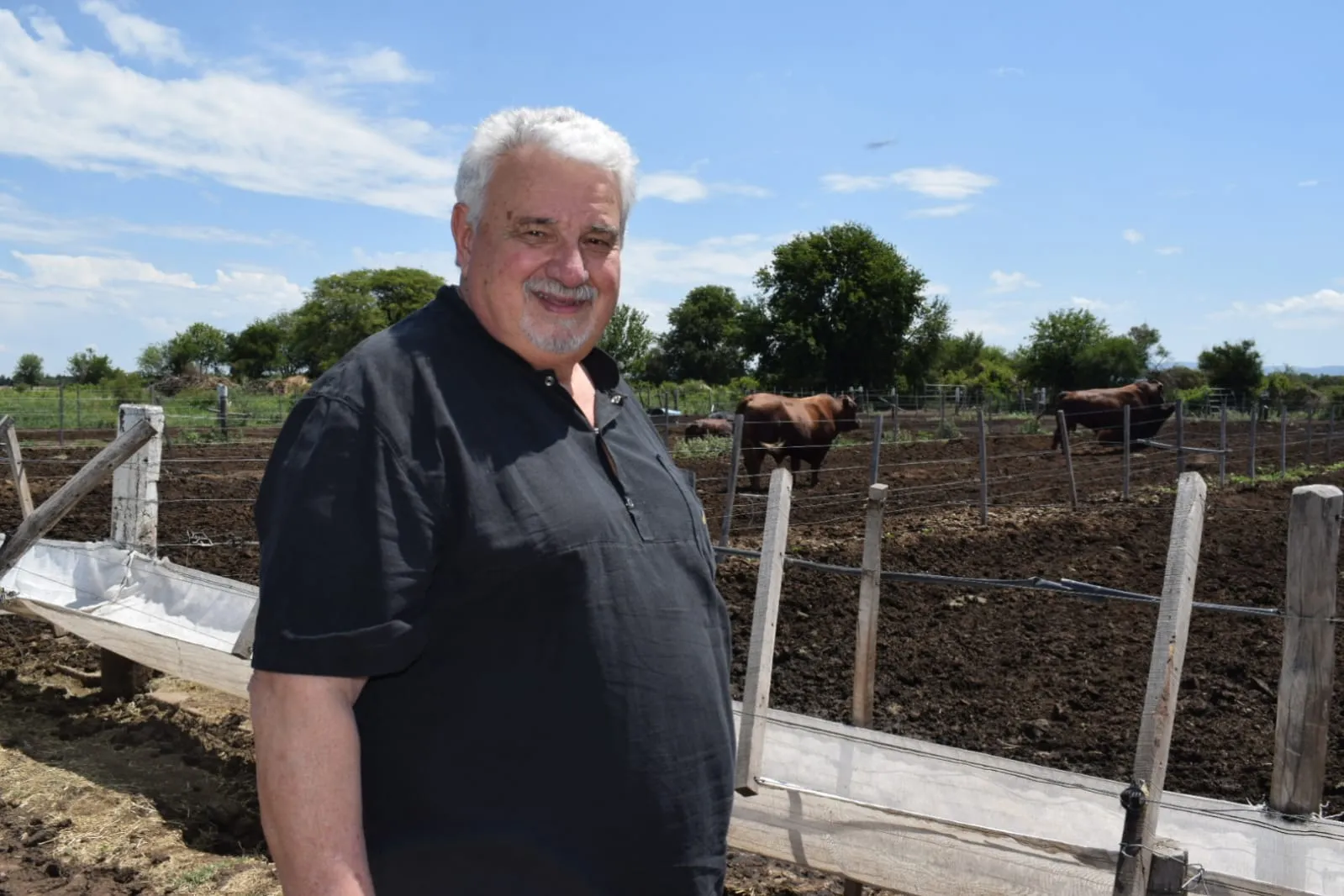 La raza Bosmara y sus potencialidades en una interesante Jornada en IRAC