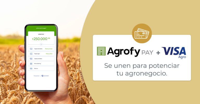 Agrofy Pay y Visa Agro se potencian y ofrecen cada vez más beneficios en el mundo digital