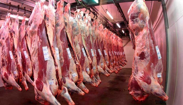 Por el cepo a al carne Argentina perdió exportaciones por U$S 900 Millones