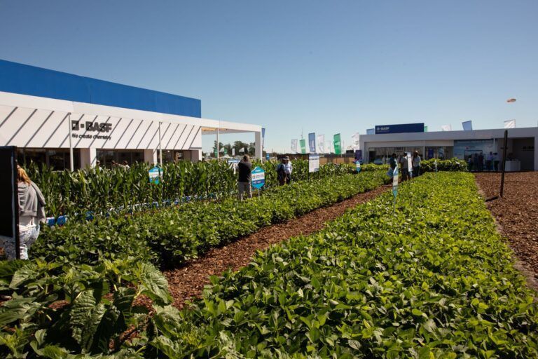 BASF presentó innovaciones que conectan protección de cultivos, semillas y soluciones digitales en Expoagro