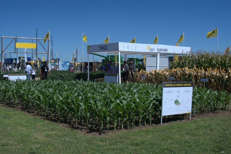 Nidera Semillas presentó novedades en variedades de Maíz, Soja y Girasol en Expoagro 2022