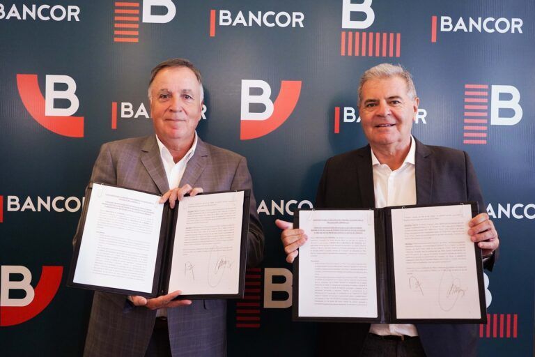 Ganadería: BANCOR otorgará $3.000 millones en créditos con tasa subsidiada