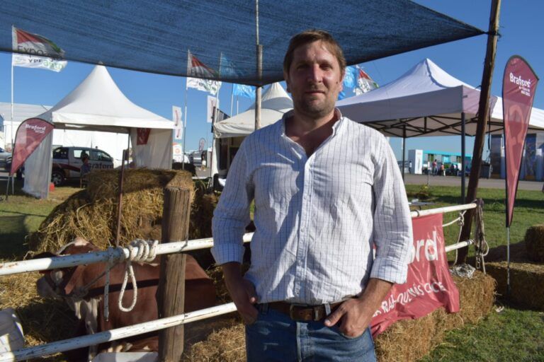 Presentaron el Certamen Mundial de la Raza Braford en el marco de Expoagro 2022