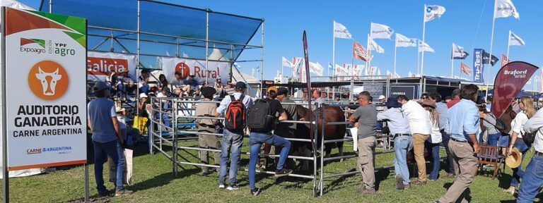 El IPCVA le da marco al sector ganadero de Expoagro 2022