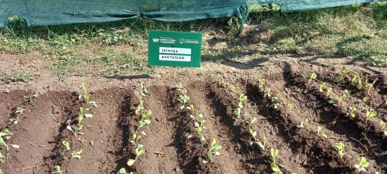 Huerta en tu Hogar: lanzaron la temporada otoño-invierno del programa