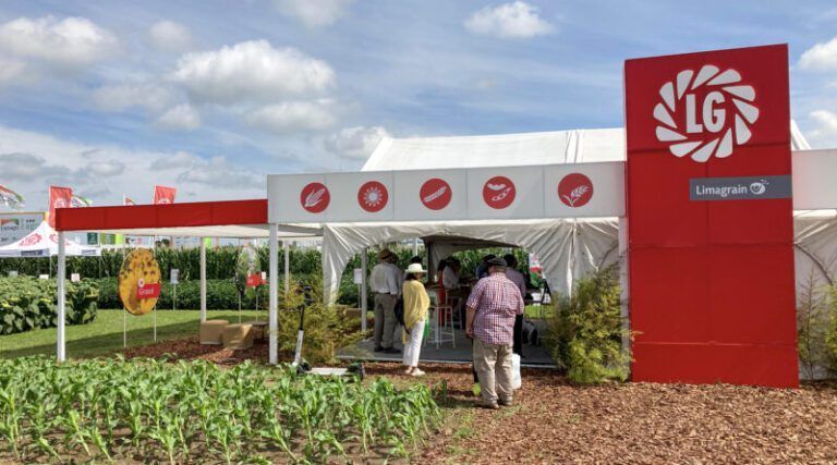 Limagrain presentó en Expoagro su nuevo maíz con tecnología Viptera 3