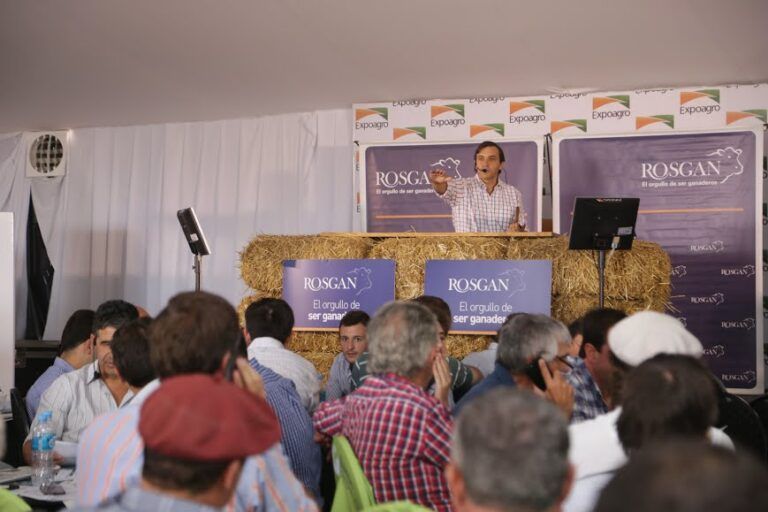 Importante expectativa por el Mercado Ganadero en Expoagro 2022