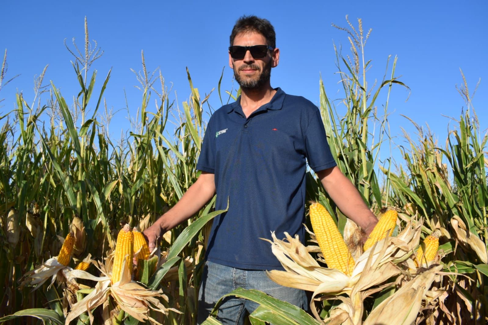 Stine presentará esta semana sus ensayos de Maíz y Soja en General Cabrera