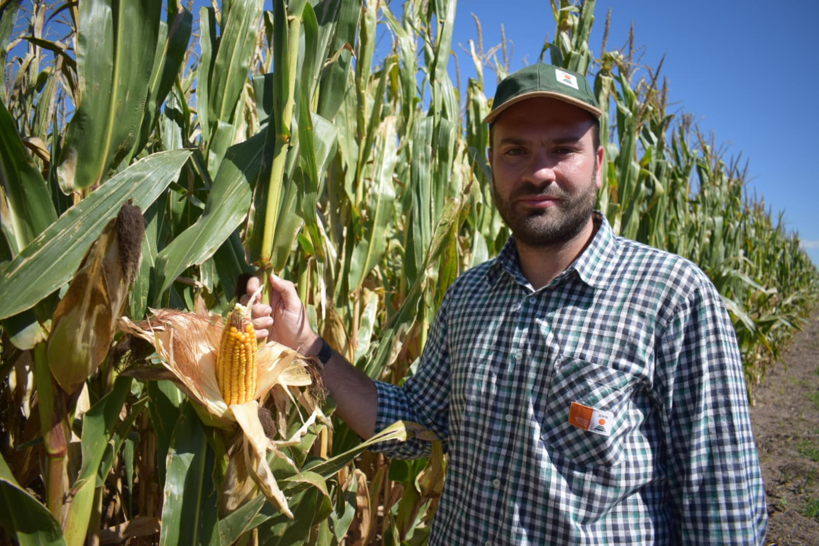 KWS realizará este viernes 22 su Demostrativo Agronómico Regional en la Carlota