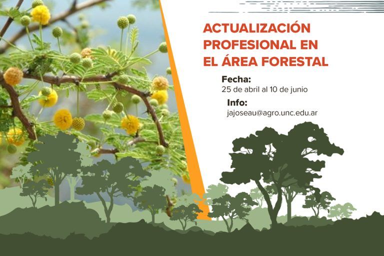 Curso de Actualización en el Área Forestal 2022