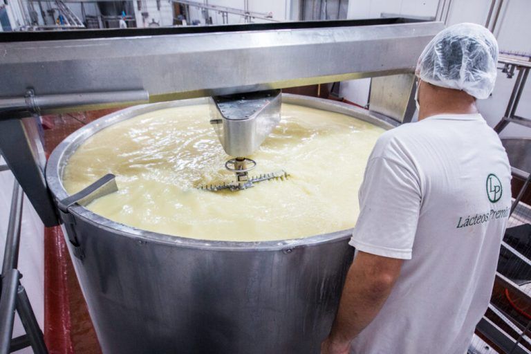 TodoLáctea 2022 invita a una gira por las industrias lácteas en la cuenca villamariense