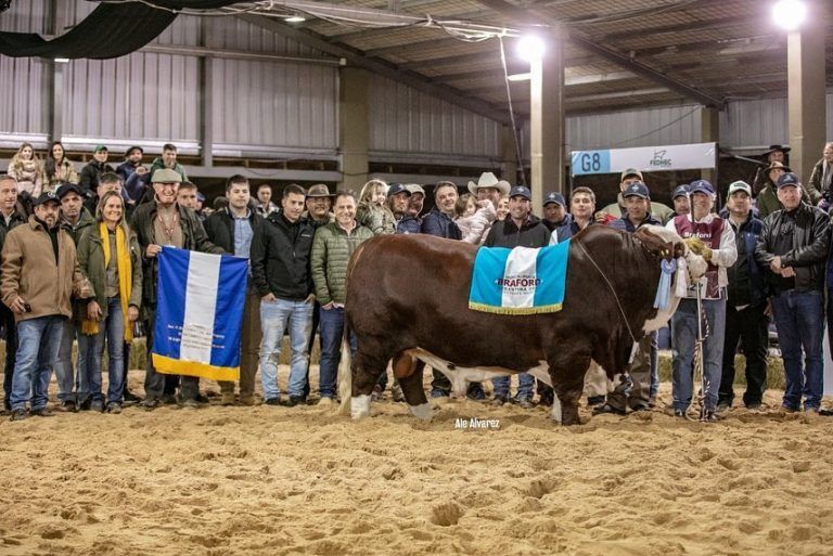 La Cabaña cordobesa «La Dominga» fue la gran ganadora del Mundial Braford
