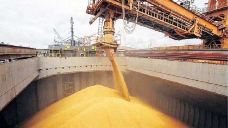 Récord de exportaciones de trigo en el primer semestre