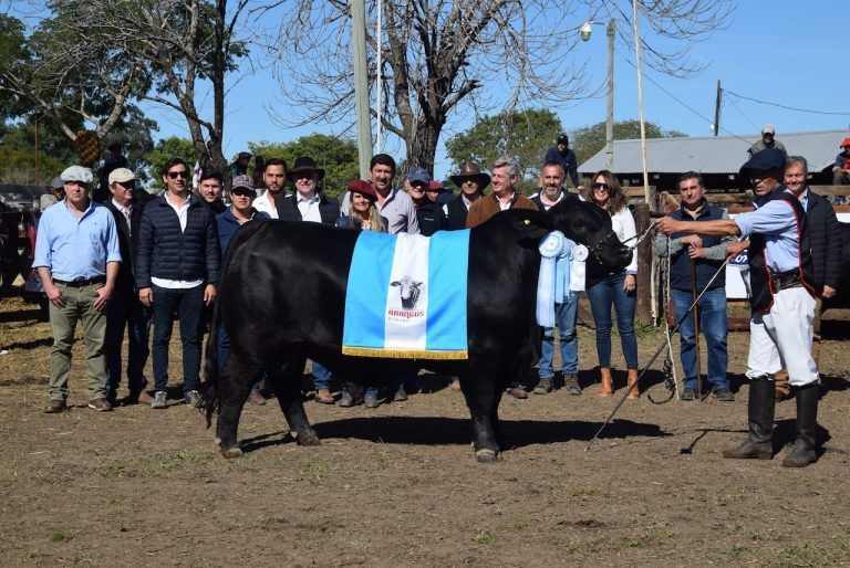 La genética Brangus deslumbró en la Nacional de Razas de Corrientes