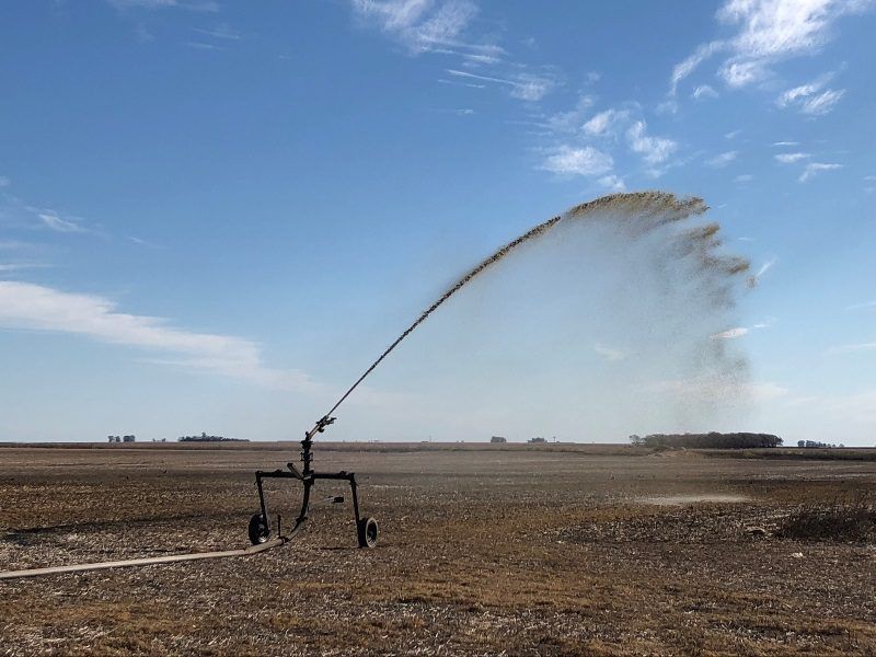 Efluentes porcinos: el «oro líquido» que rinde hasta 200 dólares adicionales por hectárea