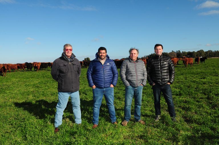 IPCVA: La clave esta en la diversificación productiva, ganadería rentable y eficiente en zonas agrícolas