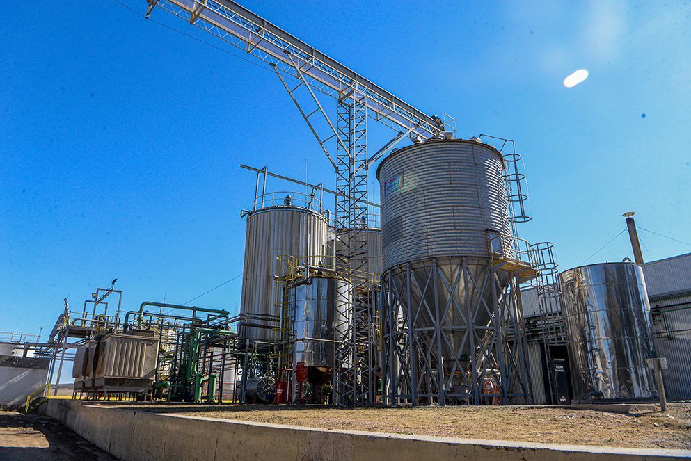 Establecimiento Las Chilcas se sumará a la producción de biodisél cordobés