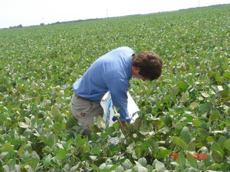 Lanzan nueva Carrera de Posgrado en la Escuela de Graduados de Ciencias Agropecuarias