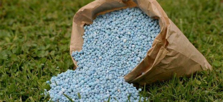 La utilización de fertilizantes podría caer un 27 % en cultivos como maíz y trigo