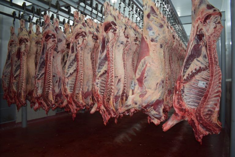 CICCRA: Las exportaciones de carne crecieron en el mes de enero