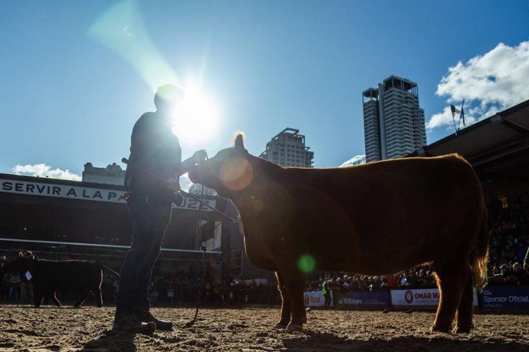 Con muchas novedades, la Exposición Rural de Palermo será referencia del campo del 20 al 30 de Julio