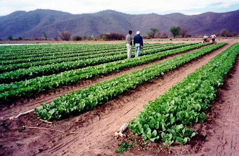 El Gobierno transfirió más de $1800 millones del Fondo Especial de Tabaco
