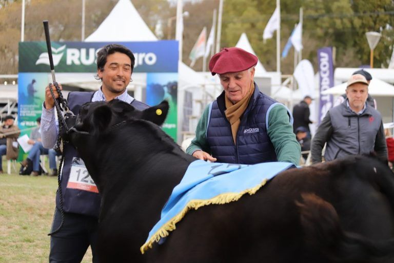 Destacan a la Expo Angus de Olavarría por genética y organización